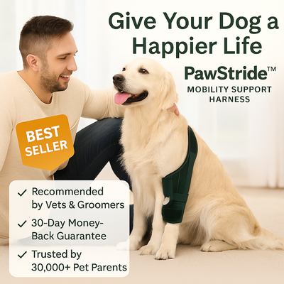 PawStride™ Mobility Harness